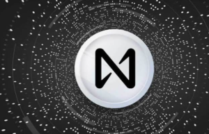 How Cryptocurrency Protocols Work